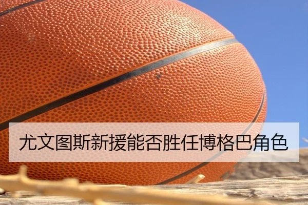 尤文图斯新援能否胜任博格巴角色