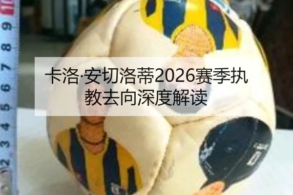 卡洛·安切洛蒂2026赛季执教去向深度解读